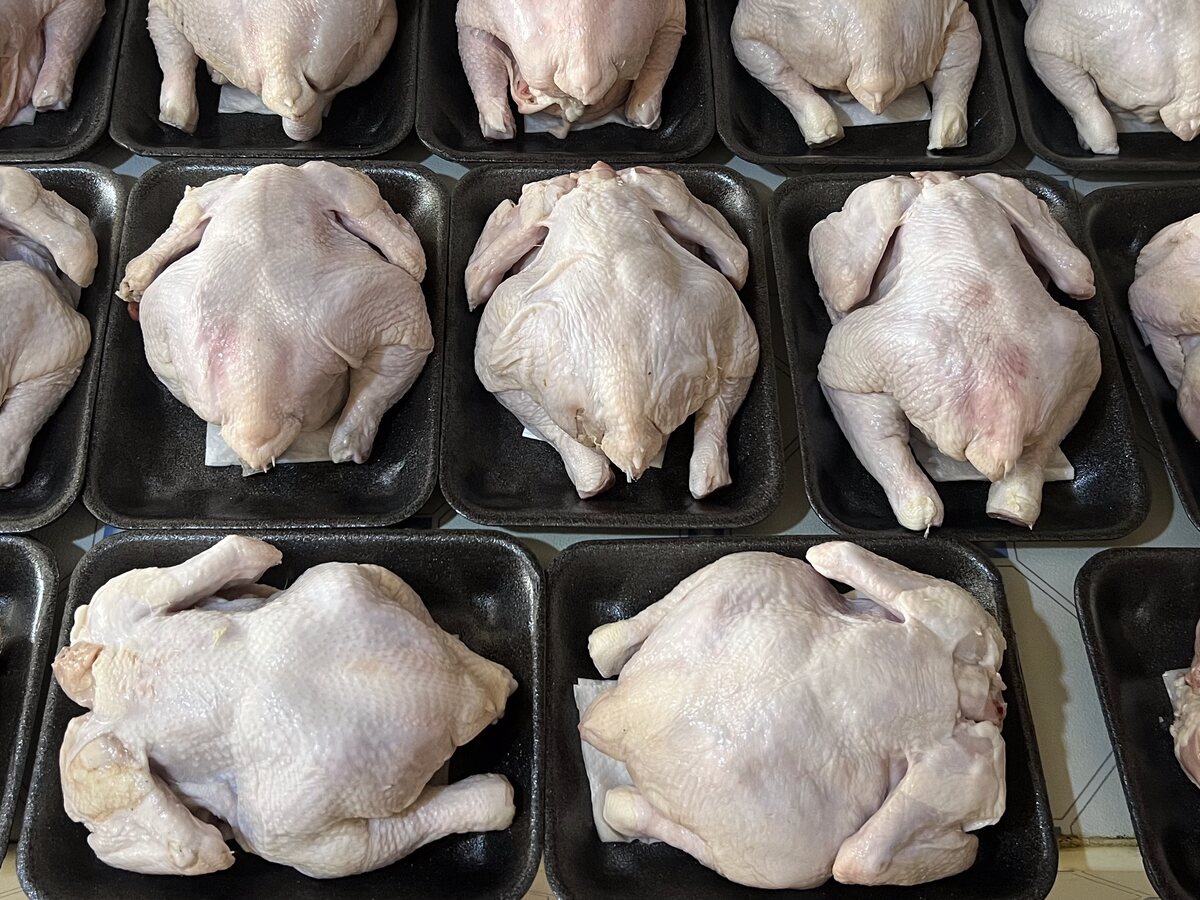 Whole halal chickens in trays at Beefy