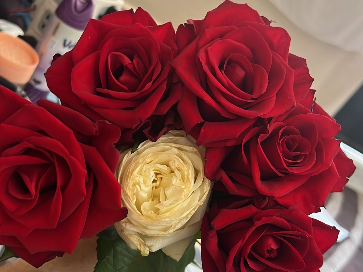 A bunch of red Kenyan roses